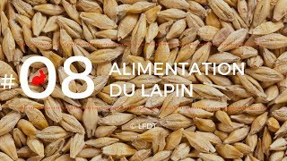 ALIMENTATION DU LAPIN │LFDT #08