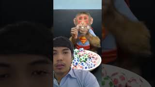 Baby Monkey Eat Candy Ball