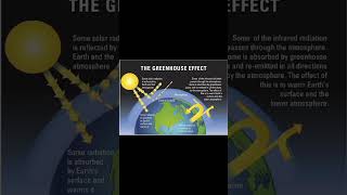 Greenhouse effect 🌳#facts #shorts #upsc #ssc