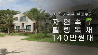 제주 한달살기 140만원 대 숲세권 독채