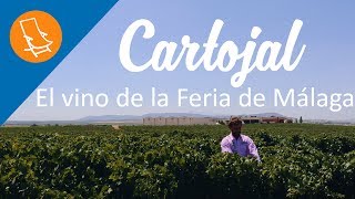 Cartojal - El vino de la feria de Málaga