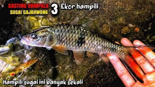 casting hampili di sugai gajahwong Bantul dengan swim meling dari kalen