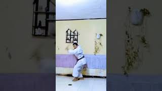 nunchaku goju ryu karate style #shortvideo