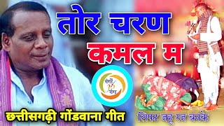 गोंड समाज की एक अलग ही गोंडी कर्मा | रंग पंचमी अमरकंटक | Live Rang Panchmi Gond Samaj Amarkantak