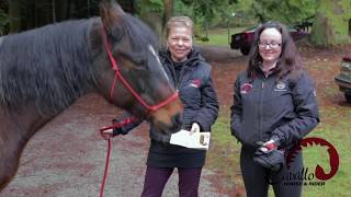 How to measure for Cavallo Hoof Boots!