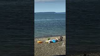 Hood Canal and Olympic Mountains