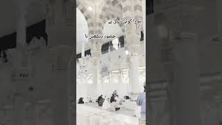 ہمارا کوئی نہیں ہے حضور ﷺ دیکھے نا