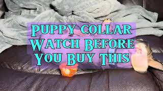 Review of Reflective Dog Collar,Soft Neoprene Padded Breathable Nylon Pet Collar