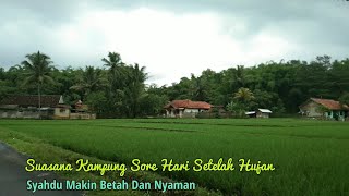 Suasana Alam Pedesaan Setelah Di Guyur Hujan Sore Hari Makin Nyaman Iri Orang Kota