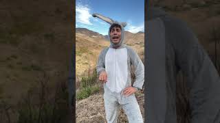 Bugs Bunny in Scotland | Jason Farone #shorts