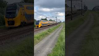 #treinleven virm over de Moerdijk bunker hsl #grijzeneusvirm