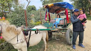 Tanga ride #tangaride #chitwan #horseriding #villagelife