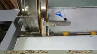 automatic horizonal pillow flow packing machine for biscuits,packaging system