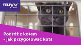 Podróż z kotem - co zrobić, by była łatwiejsza | FELIWAY