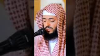 ﴿أَلَمْ تَرَ أَنَّ اللَّهَ يَعْلَمُ مَا فِي السَّمَاوَاتِ وَمَا فِي الأرْضِ ..﴾ || #وديع_اليمني