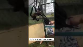 ¡JUSTICIA INSTANTÁNEA!