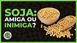 SOJA E HORMÔNIOS: QUAIS OS EFEITOS REAIS? MITOS E VERDADES