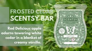 Frosted Cedar Scentsy Bar