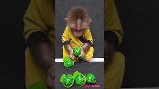 Cute baby monkey love you the most #Shorts #Viral #Trending #gaming monkey