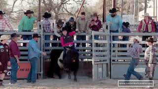 Cowboy Mardi Gras - Katherine Herrin Keith