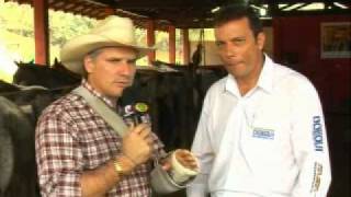 41 Programa Agronegócios - 2º parte da Inseminação em Equinos - 14/11/2010 - 2 Parte.flv