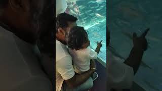 First aquarium visit baby dhruva excited moment #shortsfeed