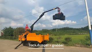 Multipurpose Crawler Carrier for sawit/oil palm/sugarcane/plantation/farm/engineering/construction