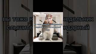 мне кажется это у всех #рекомендации #актив #подпишись #популярное #поставьлайк #круто