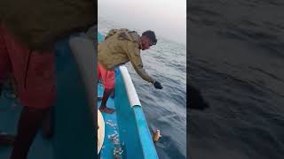 #pymeenavan #fishing #seafood #fisherman #indian2 #trendingshorts #trendingsong #viralshorts #py