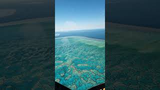 Views of the Great Barrier Reef #shorts