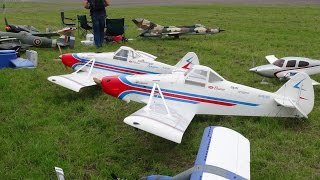 Piper Pawnee & Bellanca Decathlon