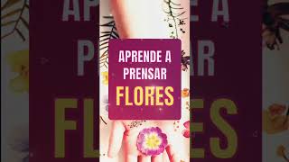 🌻COMIENZA UN NEGOCIO CON FLORES PRENSADAS🌷 #manualidades #floresprensadas #flores #aprendeencasa