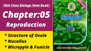 Structure of ovule class 10 | Biology class 10 chapter 5| Class 10 new biology book