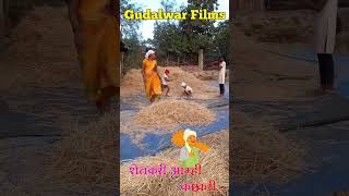 शेतकरी आम्ही कष्टकरी... Short Video... Gudalwar Films...