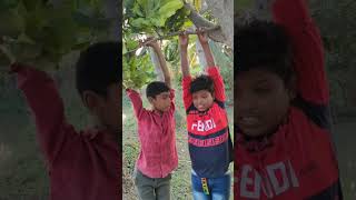 #shorts #এই হল বাঙালির বুদ্ধি #bengali funny video #Pampiya and Boys @pampiyavlog