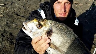 ORATA 2kg presa a SURFCASTING - Pascata da una spiaggia del Lazio - Surfcasting TV