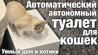 Умный автоматический кошачий туалет Российского производства. Умный дом и котики