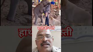 हाथी मस्ती में🐘#shorts #youtubeshorts #Vipul #trending #elephant #cute #funny