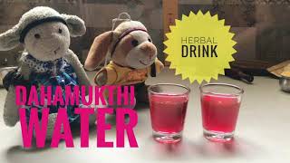 Dahamukthi | Herbal 🍃 Water | ASMR Miniature Cooking | Stop Motion Animation