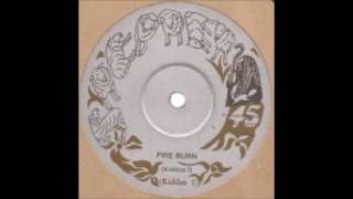 ReGGae Music 785 - Kiddus I - Fire Burn [Shepherd]