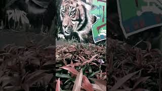 Tamannya di Corat coret?! Taman di Bogor #shorts #tamancoratcoret #tamandibogor #coratcoret #mural