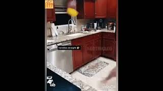 #Shorts prank, when I didn't want to wash the dishes, когда не захотел мыть посуду, приколы