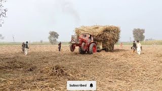 2 Belarus tractor Full Load Trolley Catching Fair in 2 Man _ Live(4K)