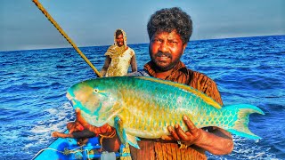 HANDLINE FISHING //CATCHING PARROT FISH, DOLPHIN FISH AND BLUDGER FISH