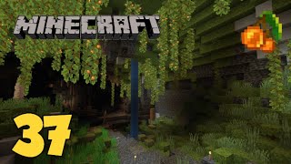 Minecraft Survival EP. 37 - ESPLORANDO LA LUSH CAVE