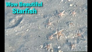 Wow Beautiful Starfish