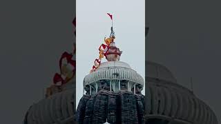 Jai Jagannath #flagchange #lordjagannath #shorts