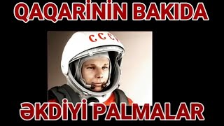 Qaqarinin Bakıda əkdiyi palmalar