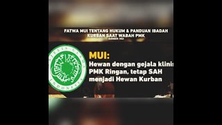 Ini Fatwa MUI Tentang Hukum Hewan Kurban Saat Wabah PMK