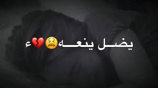 كلها تنام تالي الليل والمضيع يضل ينعه 💔 توجع ( بدون حقوق)